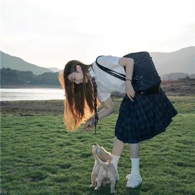 海豚踢